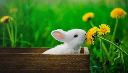 你可能没注意：搜索“今日黑料”的人，往往卡在同一个坑——诱导下载